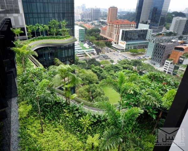 برج سكاي جاردنز أروع فندق بسنغافورة Parkroyal-sky-garden-hotel-19